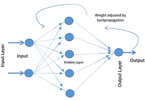 A backpropagation neural network diagram.